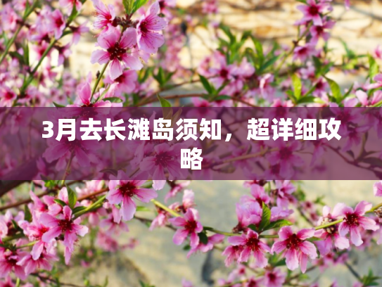 3月去长滩岛须知，超详细攻略