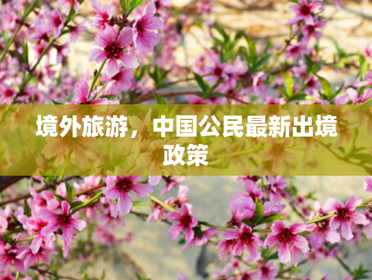 境外旅游，中国公民最新出境政策