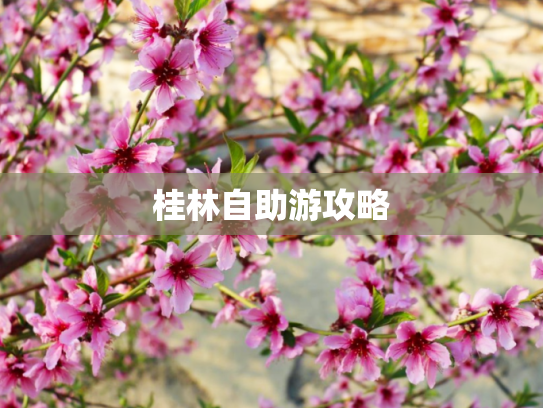 桂林自助游攻略