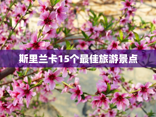 斯里兰卡15个最佳旅游景点