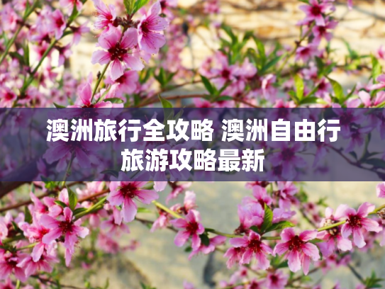 澳洲旅行全攻略 澳洲自由行旅游攻略最新