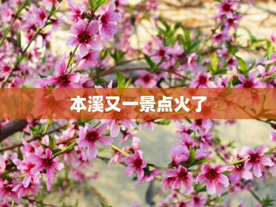 本溪又一景点火了