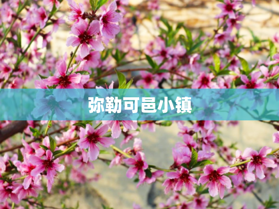 弥勒可邑小镇