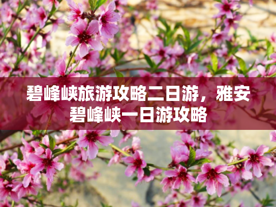 碧峰峡旅游攻略二日游，雅安碧峰峡一日游攻略