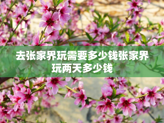 去张家界玩需要多少钱张家界玩两天多少钱