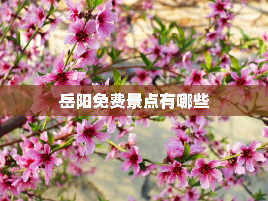 岳阳免费景点有哪些