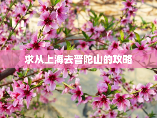 求从上海去普陀山的攻略