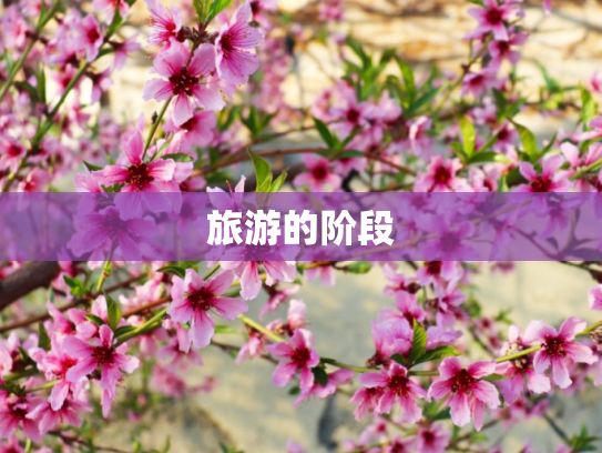 旅游的阶段