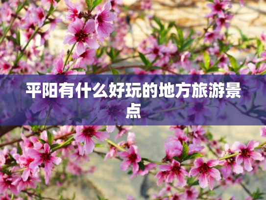 平阳有什么好玩的地方旅游景点
