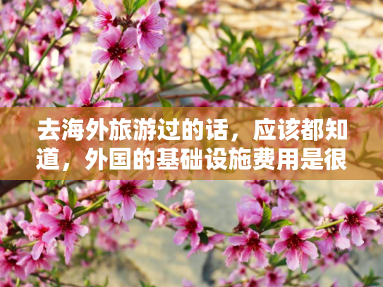 去海外旅游过的话，应该都知道，外国的基础设施费用是很贵的，比如美国的电话费