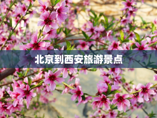 北京到西安旅游景点