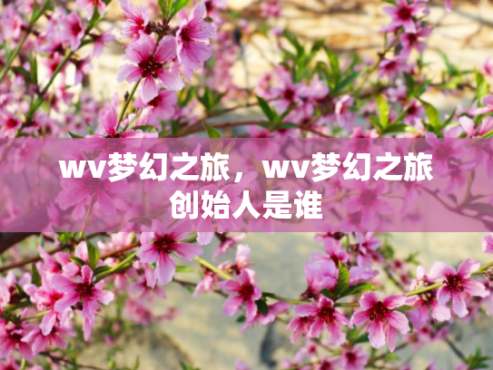 wv梦幻之旅，wv梦幻之旅创始人是谁