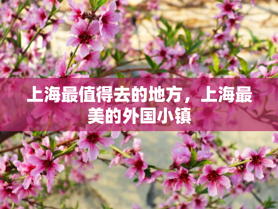 上海最值得去的地方，上海最美的外国小镇