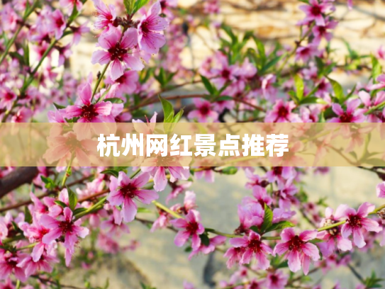 杭州网红景点推荐