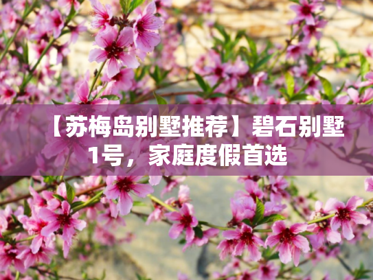【苏梅岛别墅推荐】碧石别墅1号，家庭度假首选