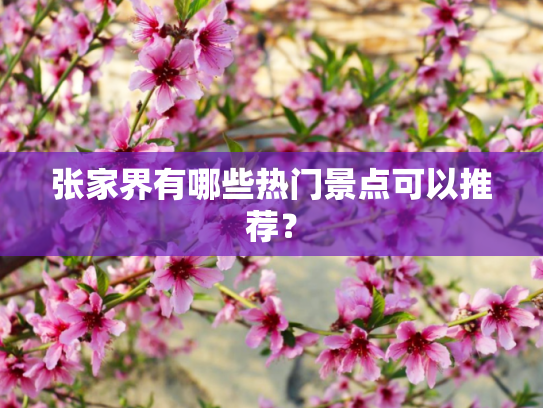 张家界有哪些热门景点可以推荐？