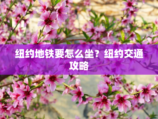 纽约地铁要怎么坐？纽约交通攻略