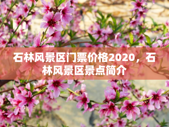 石林风景区门票价格2020，石林风景区景点简介