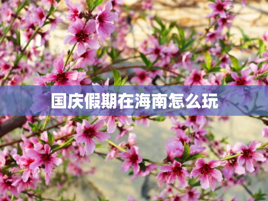 国庆假期在海南怎么玩