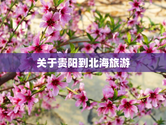 关于贵阳到北海旅游