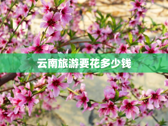 云南旅游要花多少钱