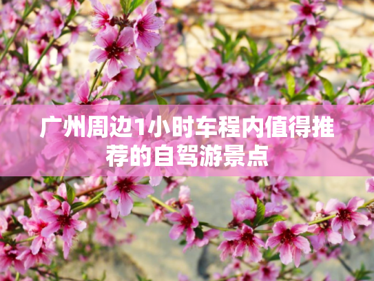 广州周边1小时车程内值得推荐的自驾游景点
