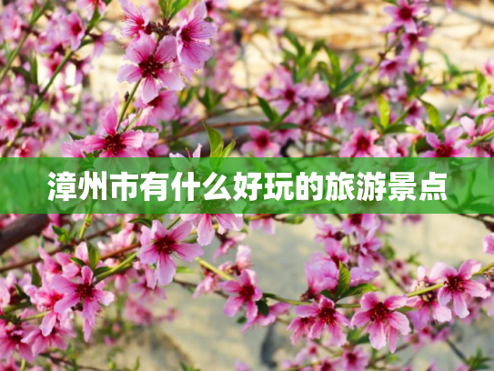 漳州市有什么好玩的旅游景点