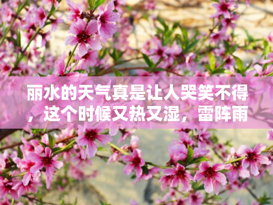 丽水的天气真是让人哭笑不得，这个时候又热又湿，雷阵雨随时可能来袭
