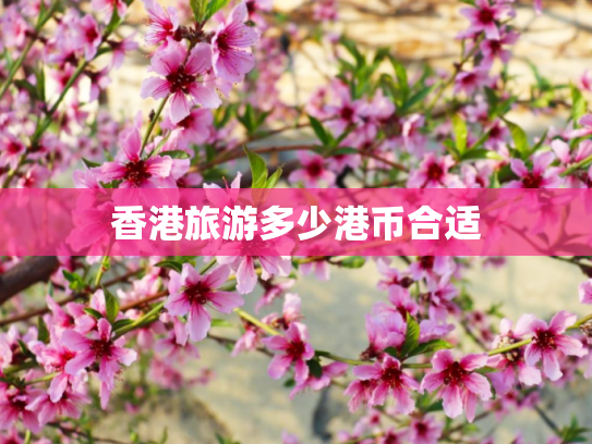 香港旅游多少港币合适