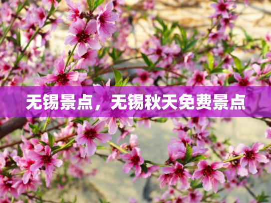 无锡景点，无锡秋天免费景点