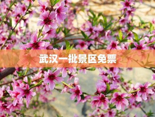 武汉一批景区免票