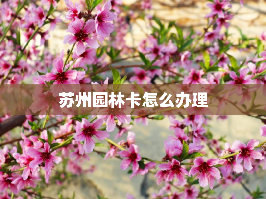 苏州园林卡怎么办理