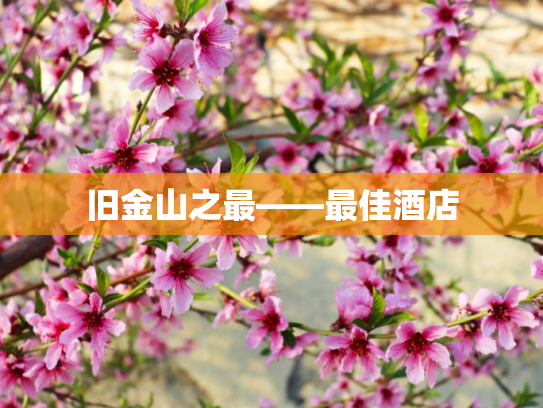 旧金山之最——最佳酒店