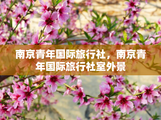 南京青年国际旅行社，南京青年国际旅行社室外景