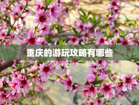 重庆的游玩攻略有哪些