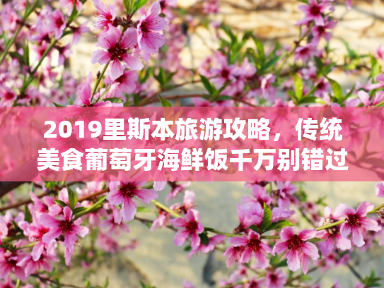 2019里斯本旅游攻略，传统美食葡萄牙海鲜饭千万别错过