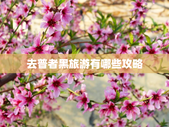 去普者黑旅游有哪些攻略
