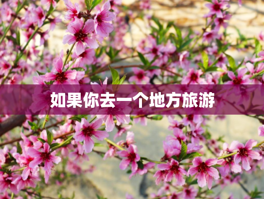 如果你去一个地方旅游