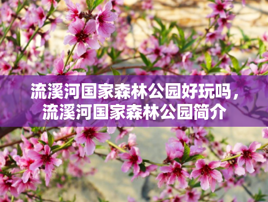 流溪河国家森林公园好玩吗，流溪河国家森林公园简介