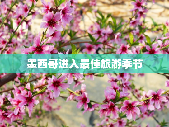 墨西哥进入最佳旅游季节