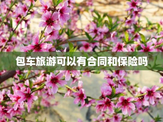 包车旅游可以有合同和保险吗