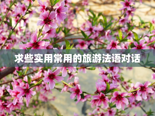 求些实用常用的旅游法语对话