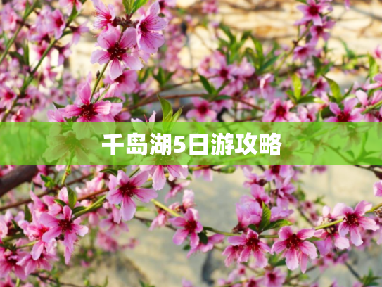 千岛湖5日游攻略