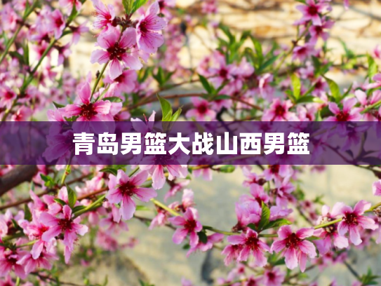 青岛男篮大战山西男篮