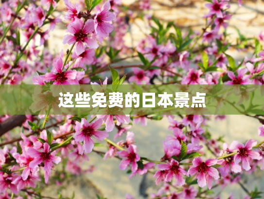 这些免费的日本景点
