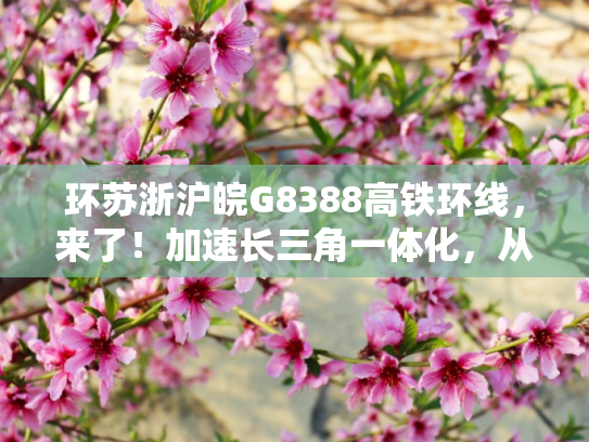 环苏浙沪皖G8388高铁环线，来了！加速长三角一体化，从地球村到长三角城市群
