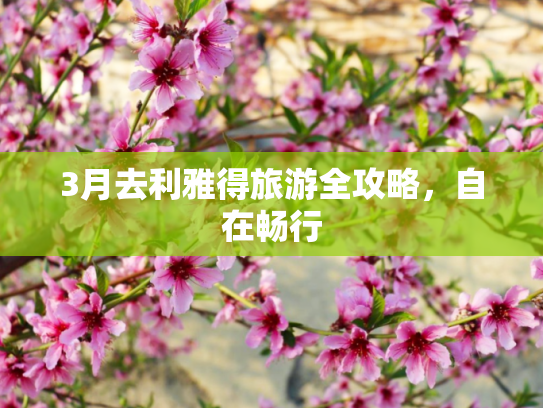 3月去利雅得旅游全攻略，自在畅行