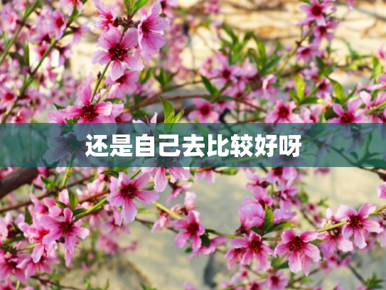 还是自己去比较好呀