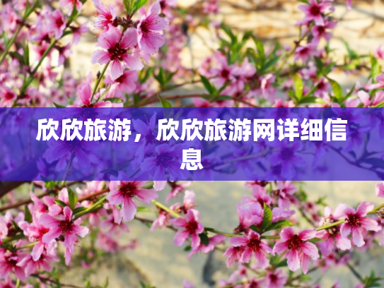 欣欣旅游，欣欣旅游网详细信息