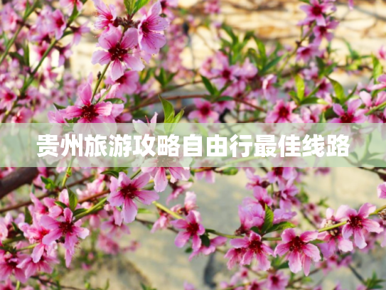 贵州旅游攻略自由行最佳线路